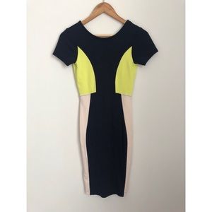 French Connection Bodycon Dress sz 2
